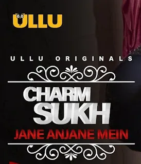 Charmsukh (Jane Anjane Mein) S01 Complete Download 720p WEBRip