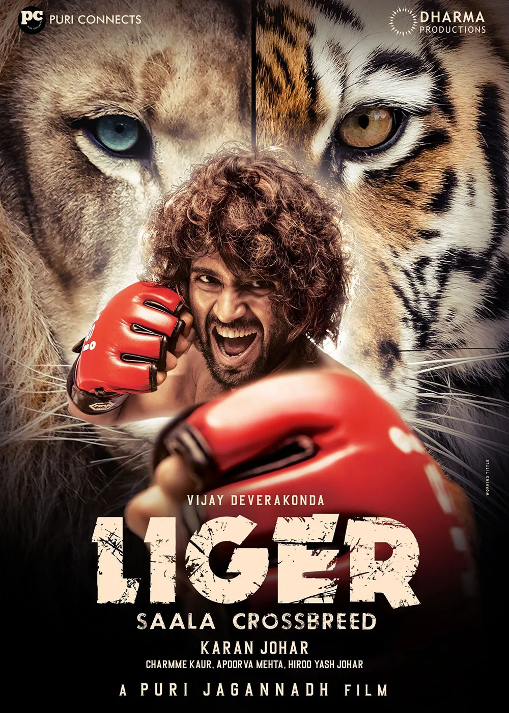 Download Liger (2022) Hindi Dubbed (HQ) 1080p WEBRip Full Movie