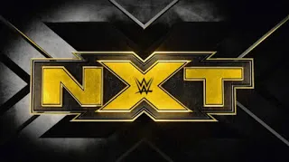 WWE NXT 10th June 2020 480p WEBRip